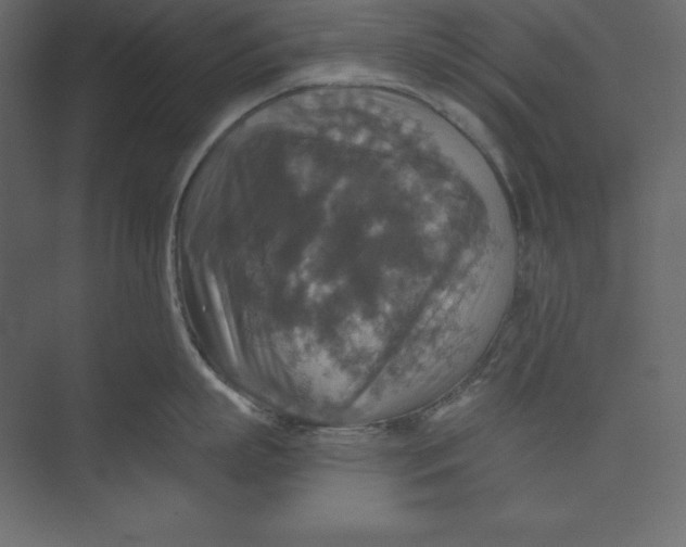 X0000073390863200608181002
