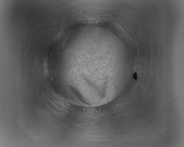 X0000073390866200608181001
