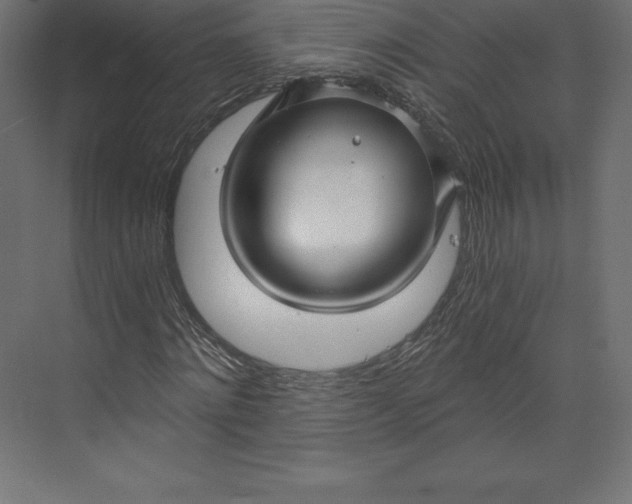 X0000073390868200608181001