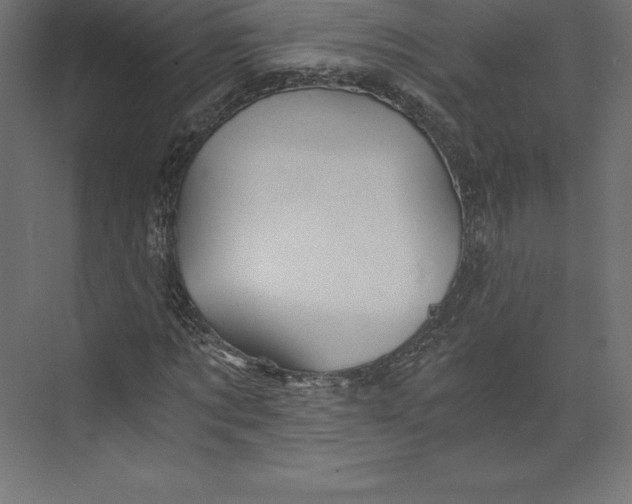 X0000073390869200608181001