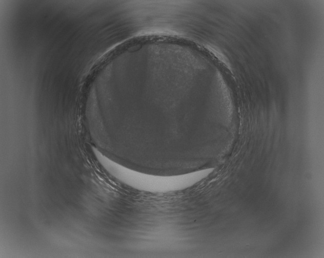 X0000073390872200608181001