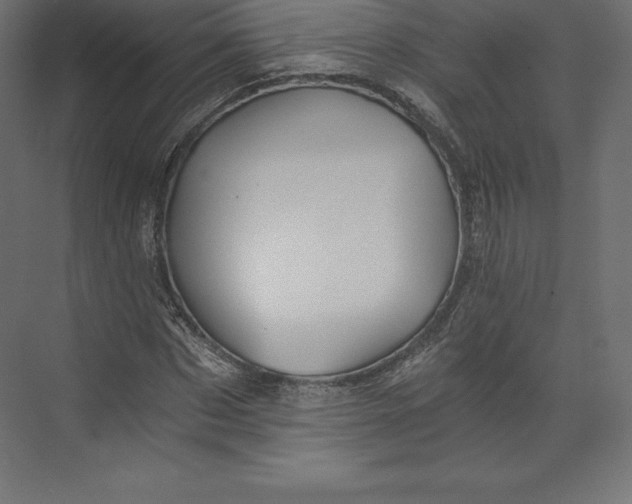 X0000073390873200608181001