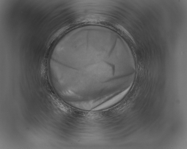 X0000073390874200608181001