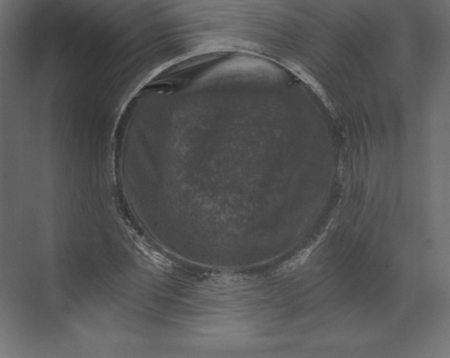 X0000073390877200608181001