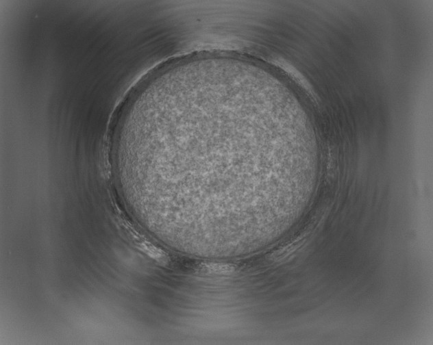 X0000073390878200608181001