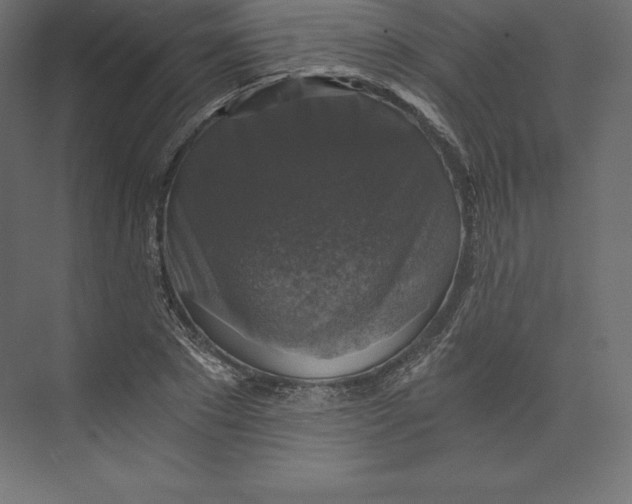 X0000073390881200608181000