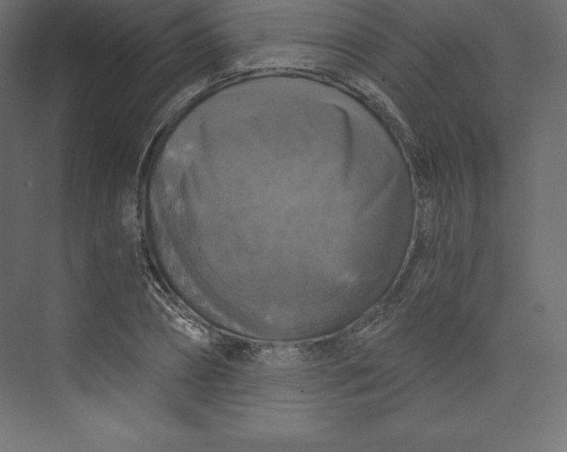 X0000073390882200608181000