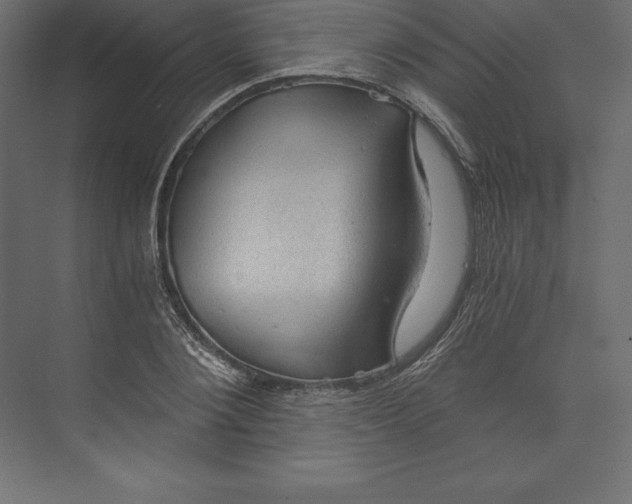 X0000073390884200608181000