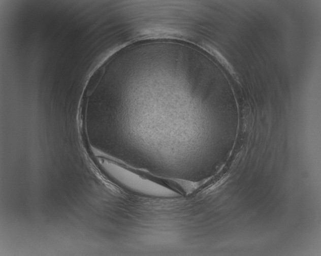 X0000073390885200608181000