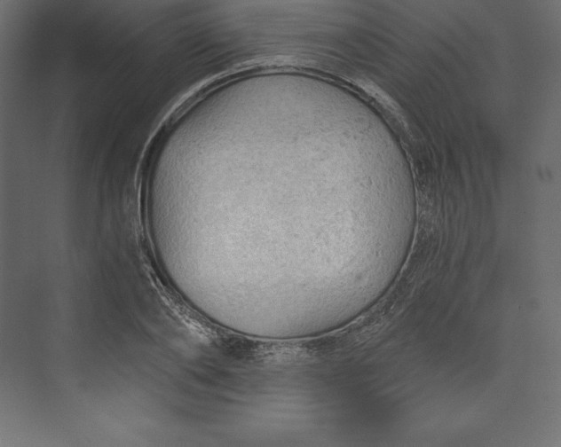 X0000073390886200608181000