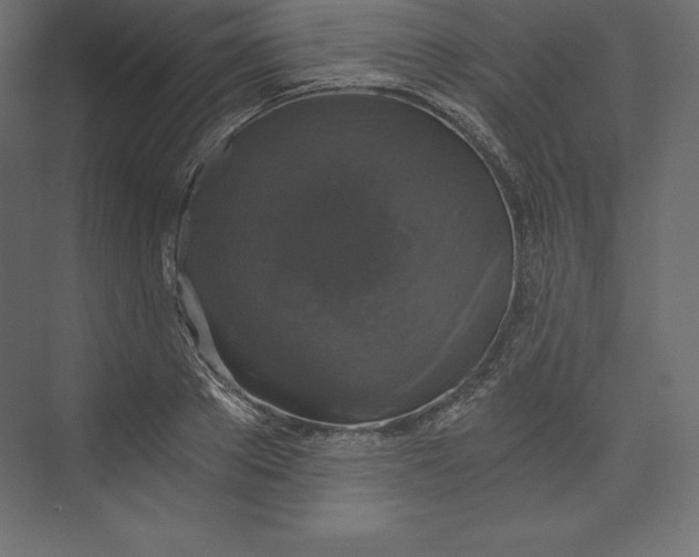 X0000073390889200608181000
