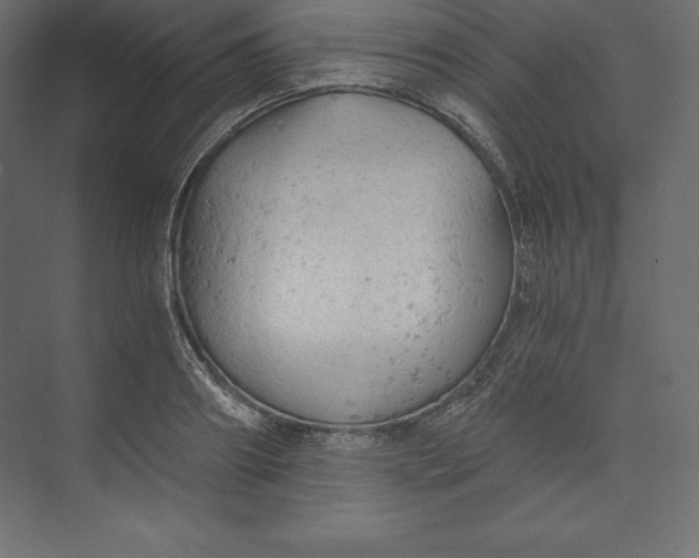 X0000073390890200608181000
