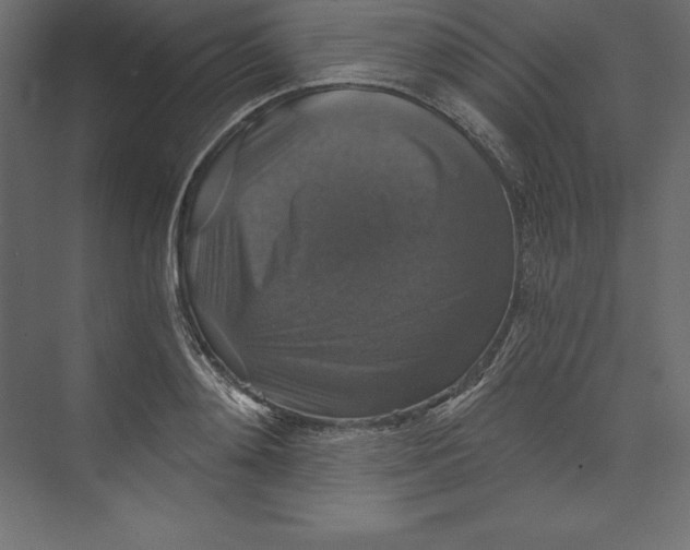 X0000073390892200608181000