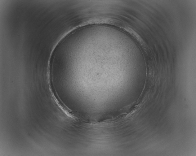 X0000073390894200608181000