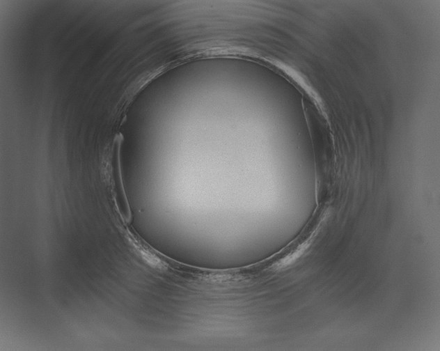 X0000073390897200608181000
