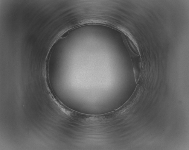 X0000073390898200608181000