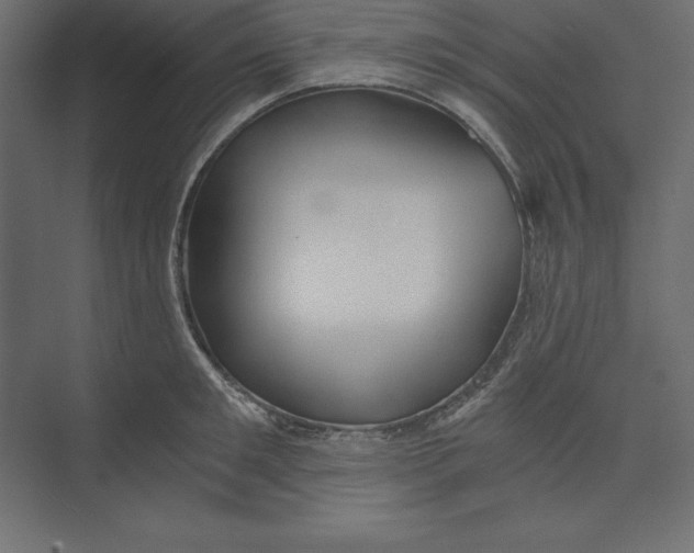 X0000073390901200608181000