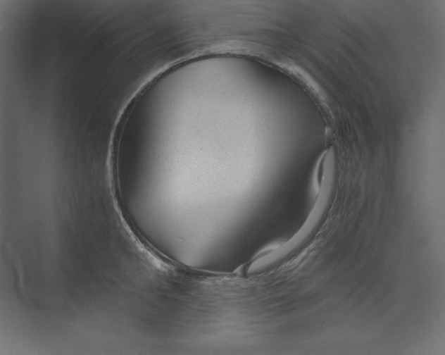 X0000073390902200608181000