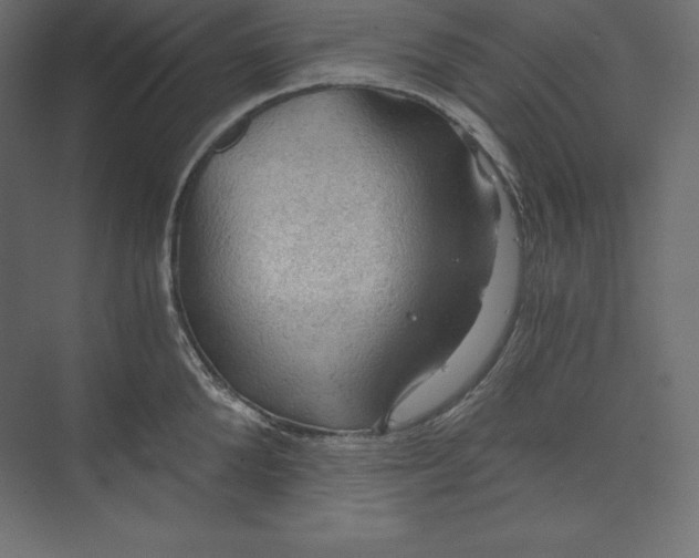 X0000073390904200608181000