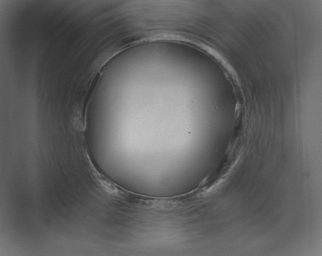 X0000073390905200608181000