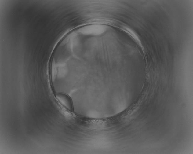 X0000073390907200608181000