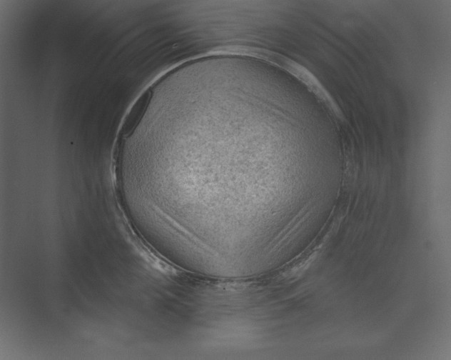 X0000073390908200608181000