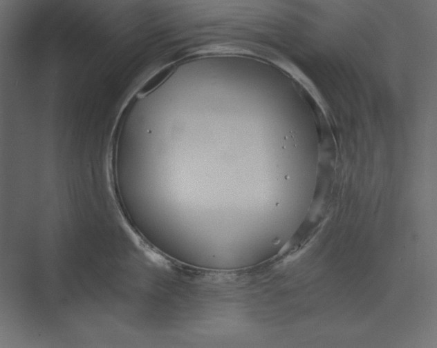 X0000073390909200608181000