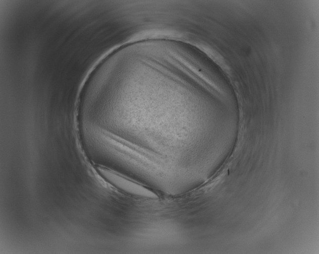 X0000073390912200608181000