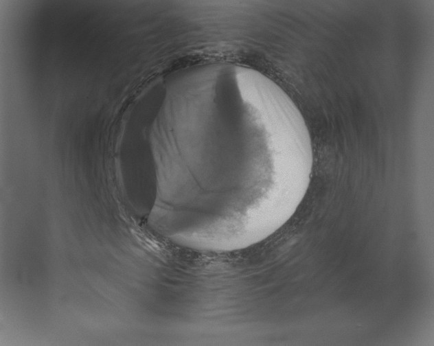 X0000073390913200608180959