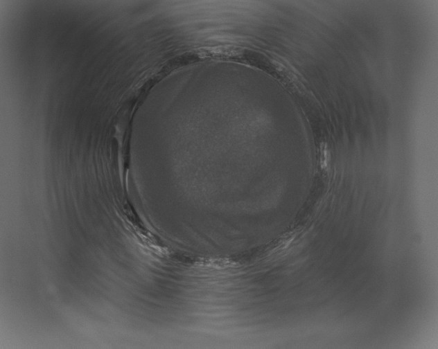 X0000073390915200608180959