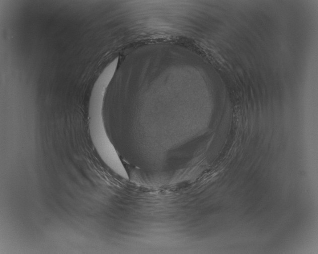 X0000073390916200608180959