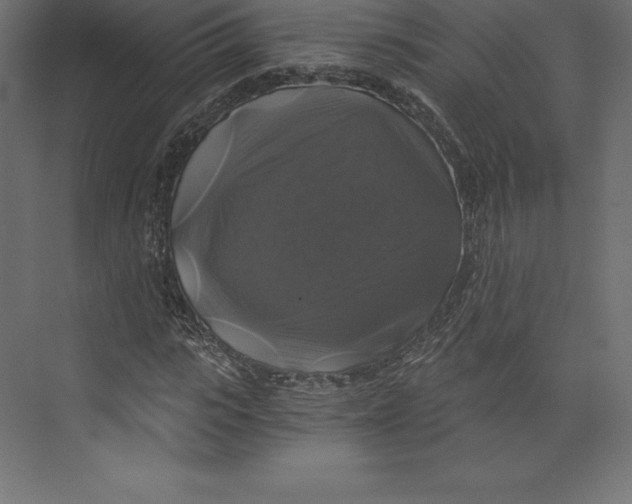 X0000073390919200608180959