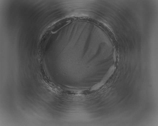 X0000073390920200608180959