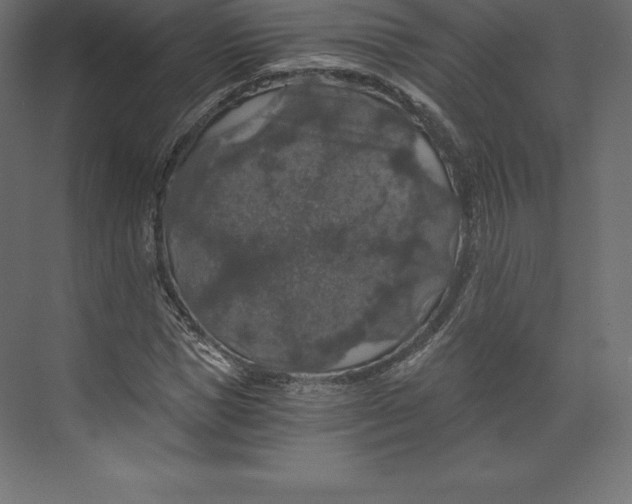 X0000073390921200608180959