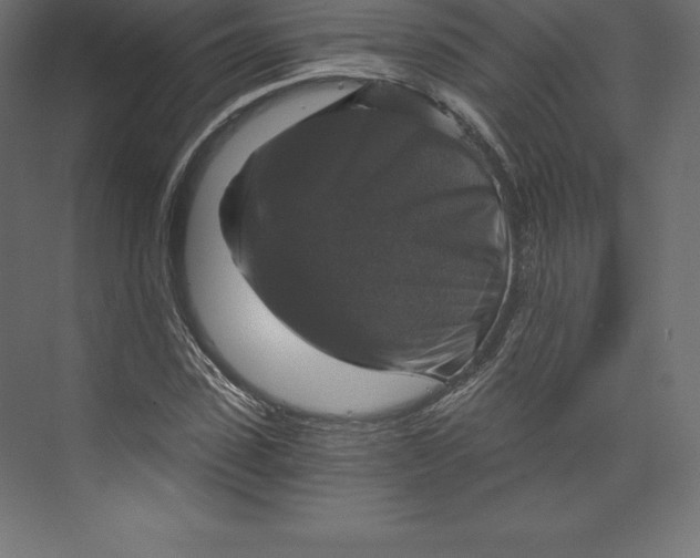 X0000073390923200608180959