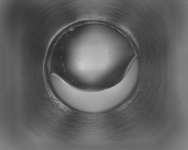 X0000073390928200608180959