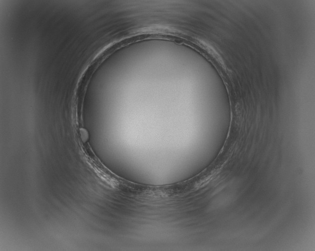 X0000073390931200608180959