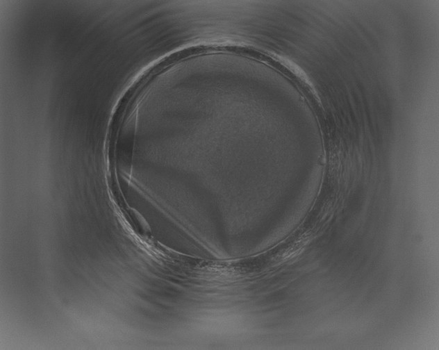 X0000073390935200608181000