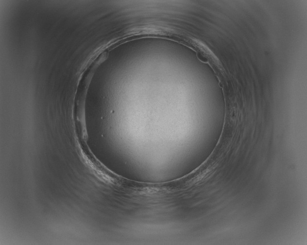 X0000073390938200608181000