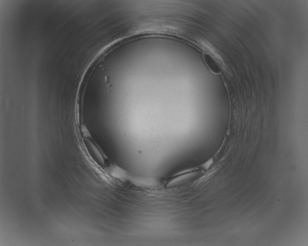 X0000073390940200608181000