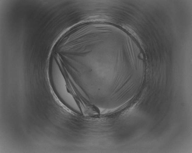 X0000073390941200608181000