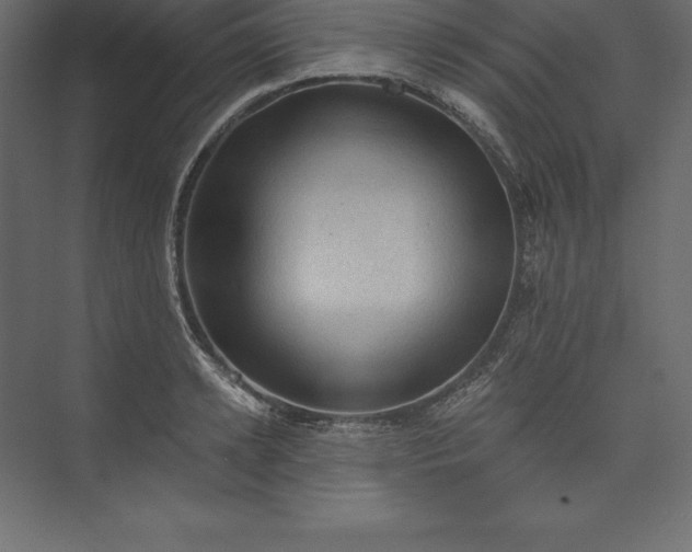 X0000073390942200608181000