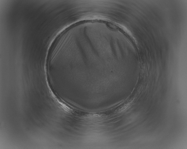 X0000073390943200608181000