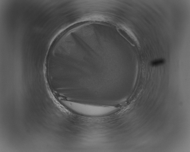 X0000073390944200608181000