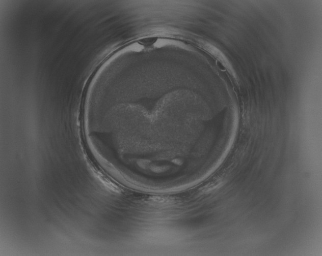 X0000073390954200608181000