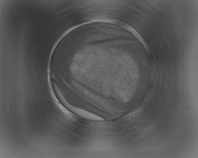 X0000073390955200608181000