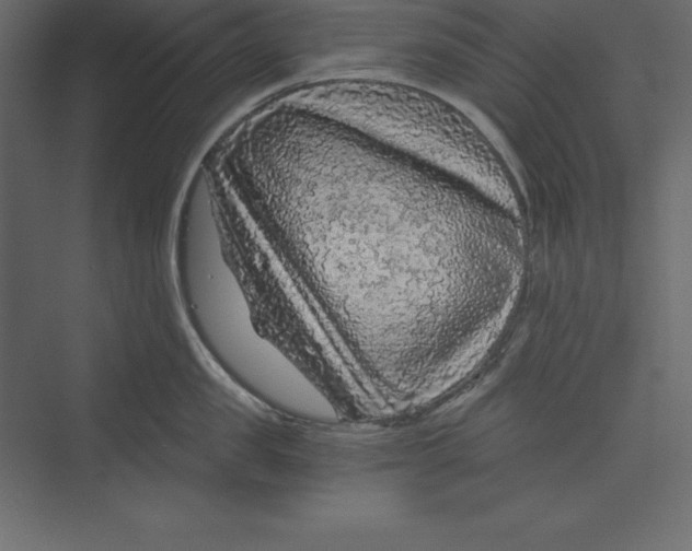 X0000073390957200608181000