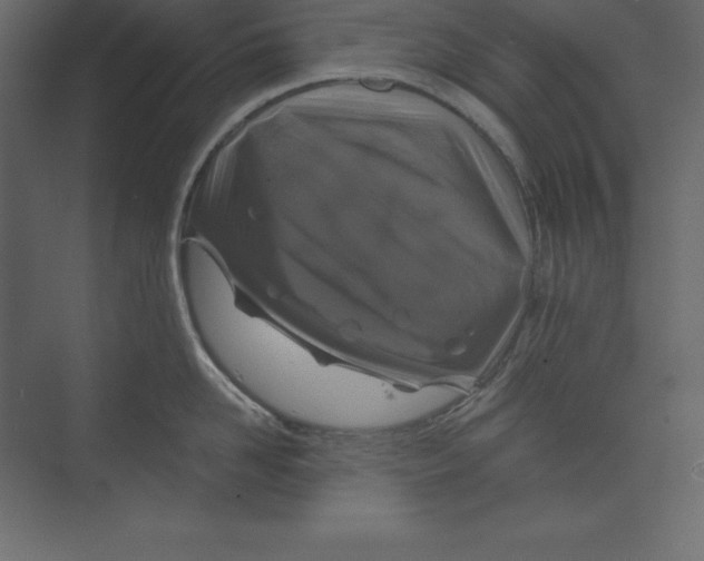 X0000073390958200608181000
