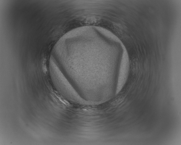 X0000073390962200608180959