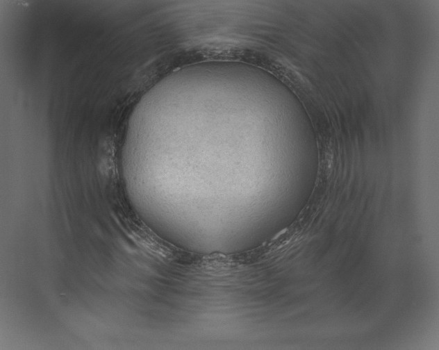 X0000073390964200608180959